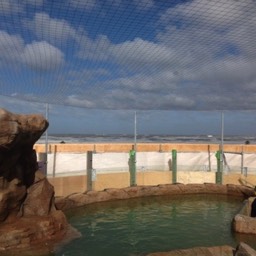 SEALIFE Scheveningen Kusters netten over Pinguinverblijf